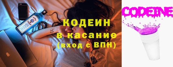 крисы Бородино