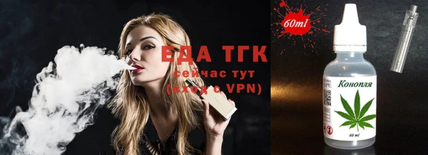 крисы Бородино