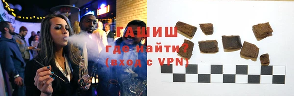крисы Бородино