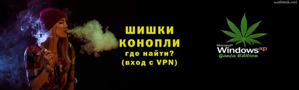 крисы Бородино