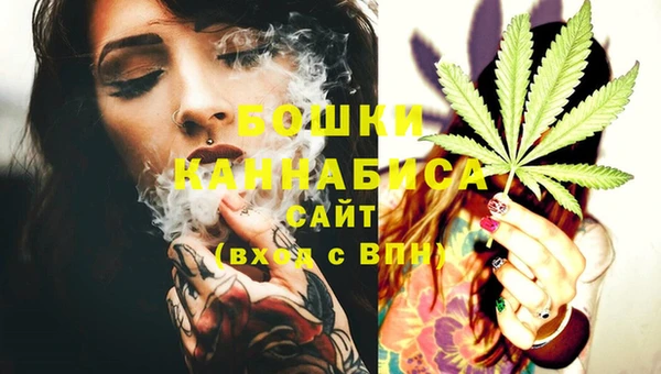 крисы Бородино