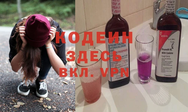 крисы Бородино