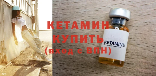 крисы Бородино