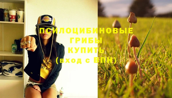 крисы Бородино