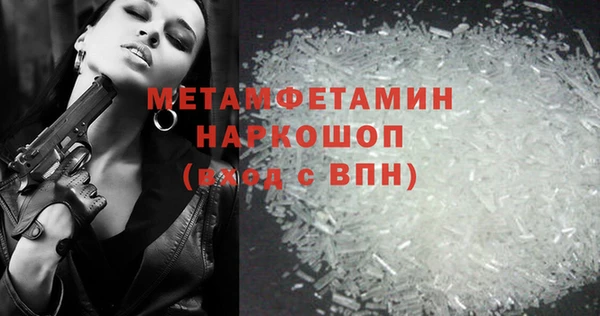 крисы Бородино