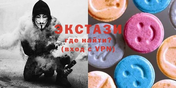 крисы Бородино