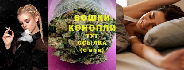 крисы Бородино