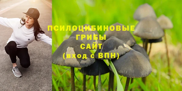 крисы Бородино
