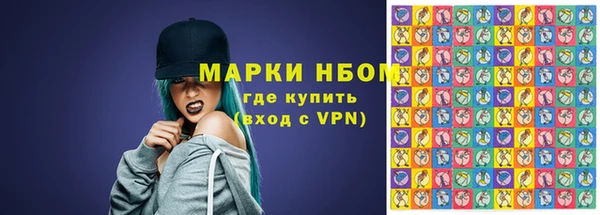 крисы Бородино