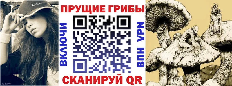 Псилоцибиновые грибы мицелий  Купить  Геленджик 